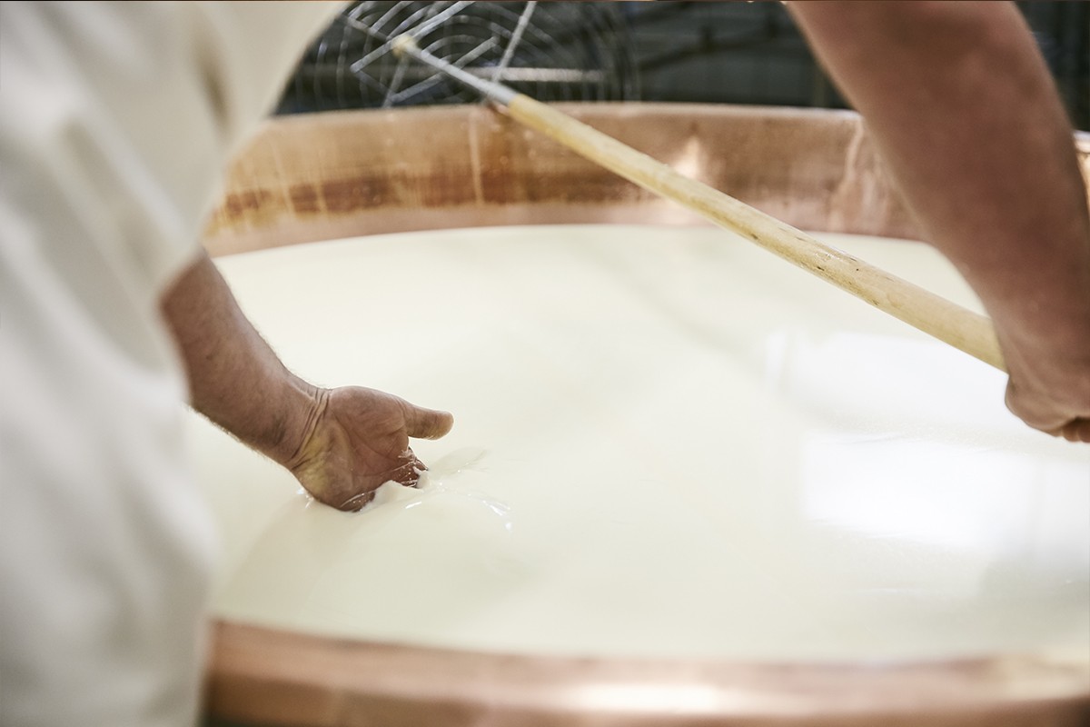 5 risposte chiare e definitive sul Parmigiano Reggiano: come si degusta